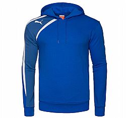 PUMA SPIRIT HOODY