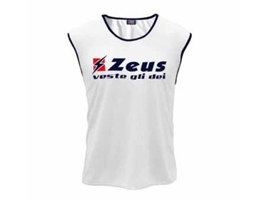 ZEUS CASACCA CHAMPIONS