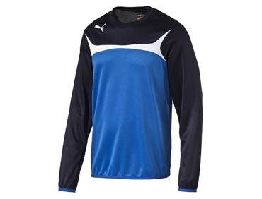 PUMA TEAM TRAINING SWEAT