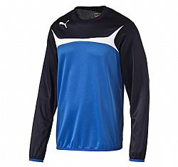 PUMA TEAM TRAINING SWEAT