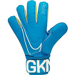 NIKE NK GK SGT PREMIER FA 19