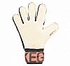 NIKE NK GK SGT PREMIER FA 19