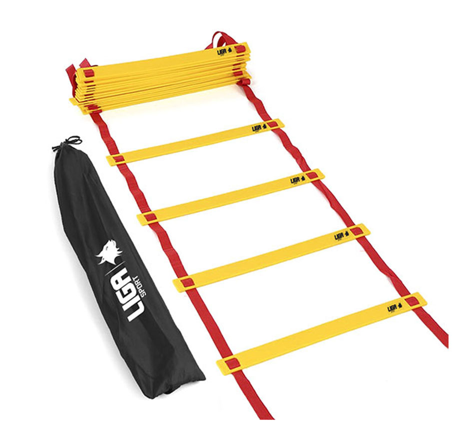 SPEED LADDER ECONOMY 4m