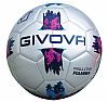 GIVOVA BALL FIAMMA ACADEMY SILVER/VIOL