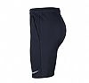 NIKE M NK DF PARK20 SHORT