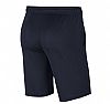 NIKE M NK DF PARK20 SHORT