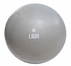 LIGA GYM BALL 55cm GREY