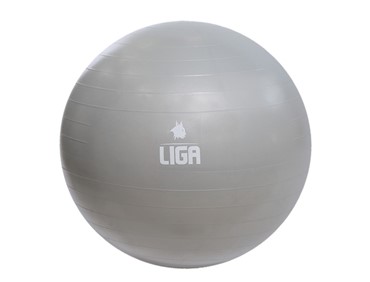LIGA GYM BALL 65CM GREY