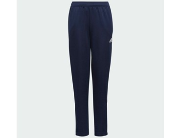 ADIDAS ENT22 TR PNT Y