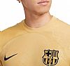 NIKE M FCB DF JSY