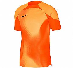 NIKE M DF ADV GARDIEN 4 GK