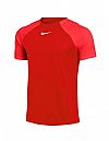 Nike Dri-FIT Academy Pro