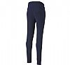 PUMA TEAMGOAL 23 PANT
