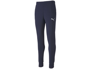 PUMA TEAMGOAL 23 PANT