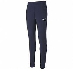 PUMA TEAMGOAL 23 PANT