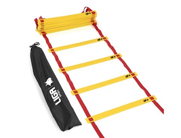 SPEED LADDER ECONOMY 8m