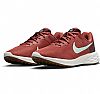 NIKE REVOLUTION 6 NEXT NATURE