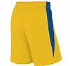 NIKE MENS TEAM BASKETBALL SHORT