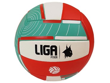 LIGA VOLLEYBALL PYTHON