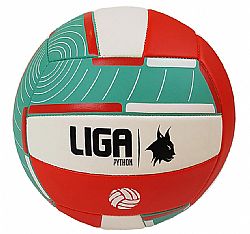 LIGA VOLLEYBALL PYTHON