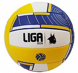 LIGA VOLLEYBALL ARROW