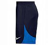 NIKE M DF ACADEMY PRO SHORT