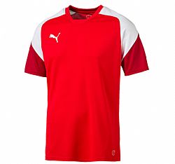 PUMA ESITO TRAINING JSY