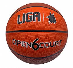 LIGA BASKETBALL OPEN COURT