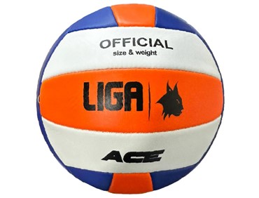 LIGA VOLLEYBALL ACE