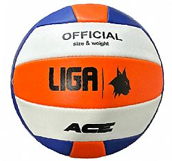 LIGA VOLLEYBALL ACE