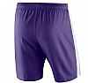 NIKE M NK DRY VNM SHORT II WVN