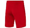 NIKE M DF STRIKE SHORT