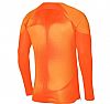 NIKE GARDIEN IV GK L/S