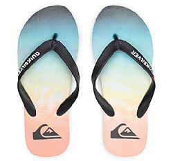 QUICKSILVER MOLOKAI