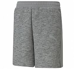 PUMA EVOSTRIPE SHORT