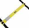 LIGA NIGHT GLOW LADDER 4m