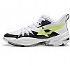 PUMA M GENETICS