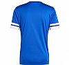 ADIDAS SQUADRA 25