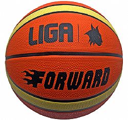 LIGA BASKETBALL FORWARD