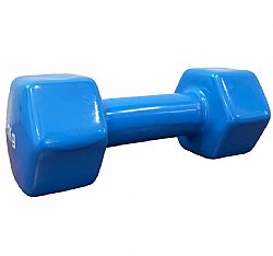 LIGA VINYL DUMBBELL 4KG SKY