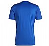 ADIDAS TABELA 23 JSY ROY