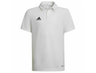 ADIDAS M ENT22 POLO WHT
