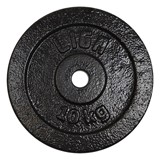 LIGA CAST IRON DISK 10KG F28