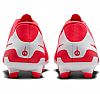 NIKE TIEMPO LEGEND 10 CLUB FG/MG