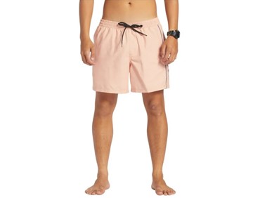 QUIKSILVER EVERYDAY VERT VOLLEY 16
