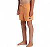 QUIKSILVER YTH EVERYDAY SOLID VOLLEY ORA