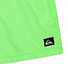QUIKSILVER YTH EVERYDAY VOLLEY GREEN FL