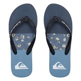 QUIKSILVER M MOLOKAI PANEL