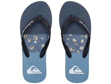 QUIKSILVER M MOLOKAI PANEL