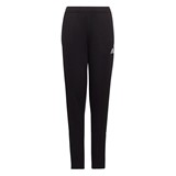 ADIDAS ENT22 TR PNT Y